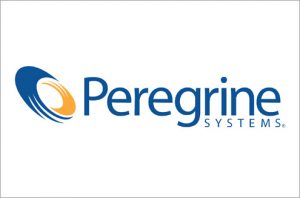 peregrine