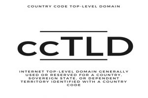 the history of domain names cctld state two letter codes