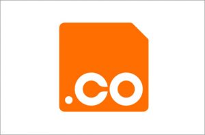 co-domain